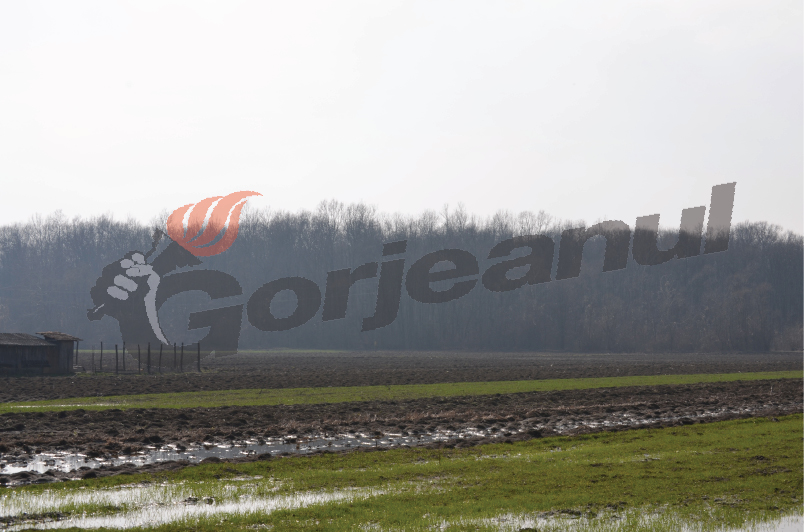 Fermierii gorjeni, prea puţin interesaţi de subvenţia pe suprafaţă