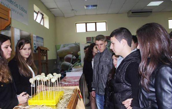 Proiecte internaţionale la Colegiul Tehnic Mătăsari