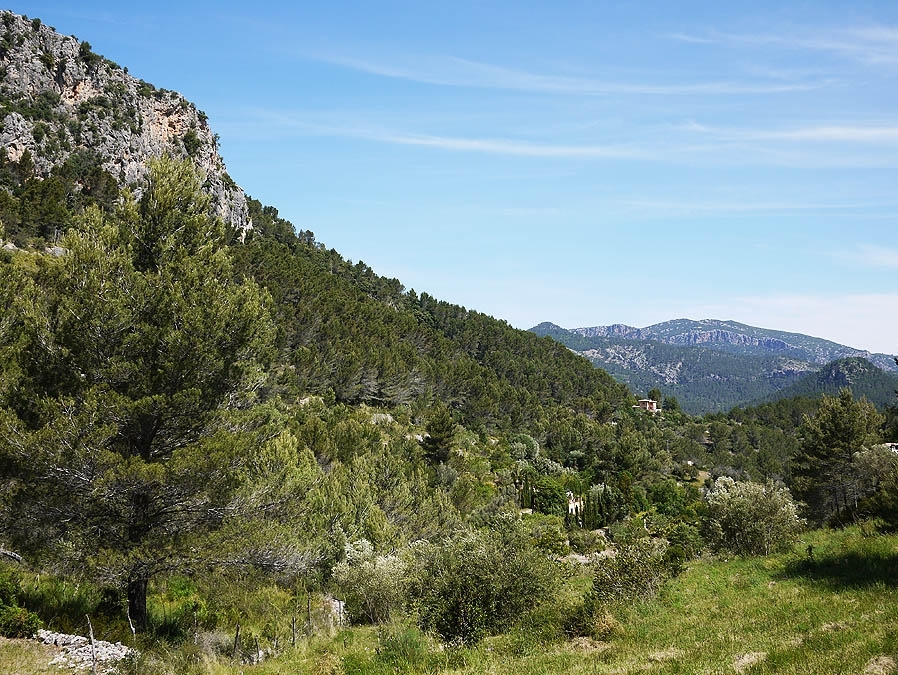 Să redescoperim luciditatea gândirii şi a faptelor noastre