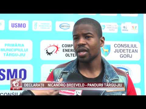 DECLARAȚII NICANDRO BREEVELD – PANDURII TÂRGU-JIU
