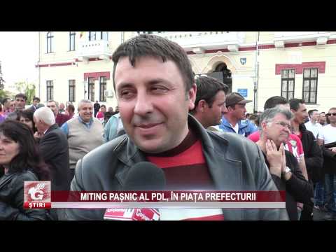 MITING PAȘNIC AL PDL, ÎN PIAȚA PREFECTURII