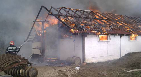 Opt adăposturi pentru animale, mistuite de flăcări