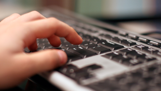 Trei medalii pentru elevii gorjeni la Olimpiada de Informatică