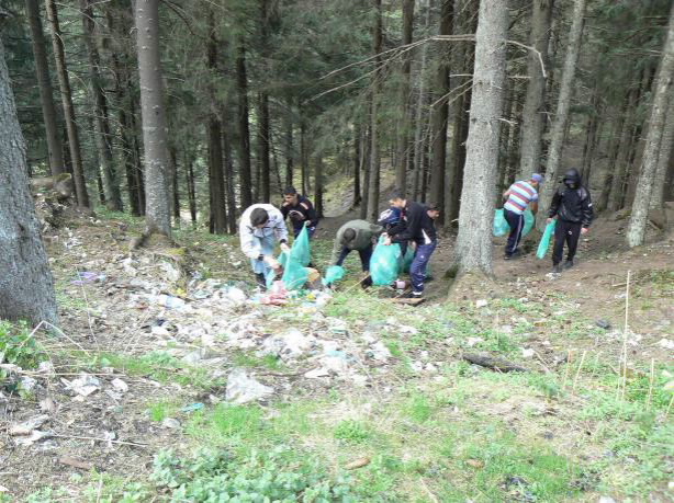 “Plămânul verde” de Gorj, încadrat în “Idei din Ţara lui Andrei”