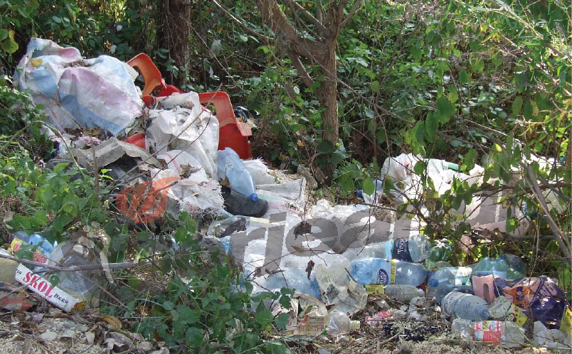 “Cruciadă” ecologică împotriva gunoaielor de la Corneşti