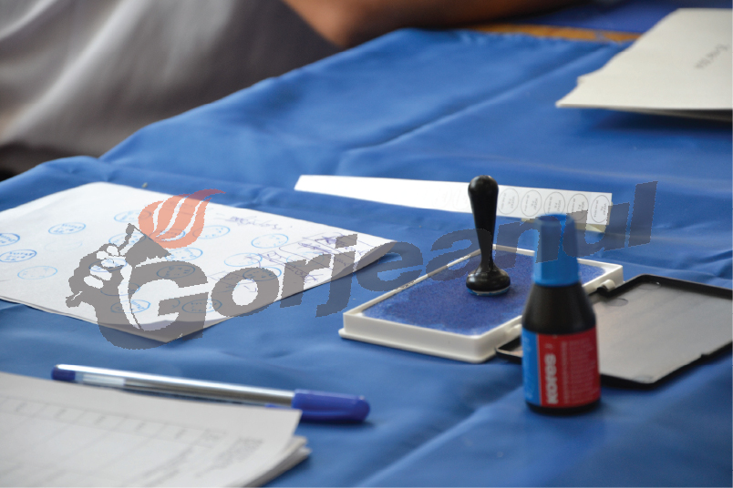 PDL, două plângeri pentru scrutinul din Gorj