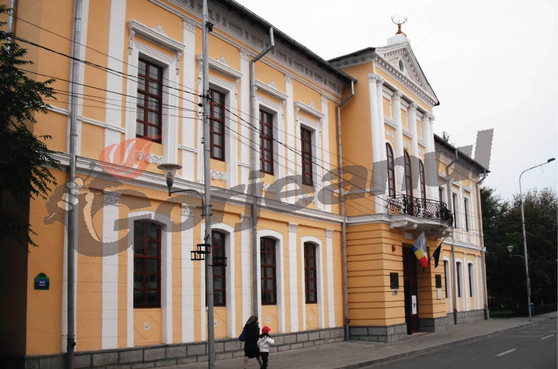 Noaptea Muzeelor, la Târgu-Jiu şi Târgu-Cărbuneşti