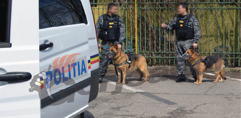 Descinderi la traficanții de droguri din Motru