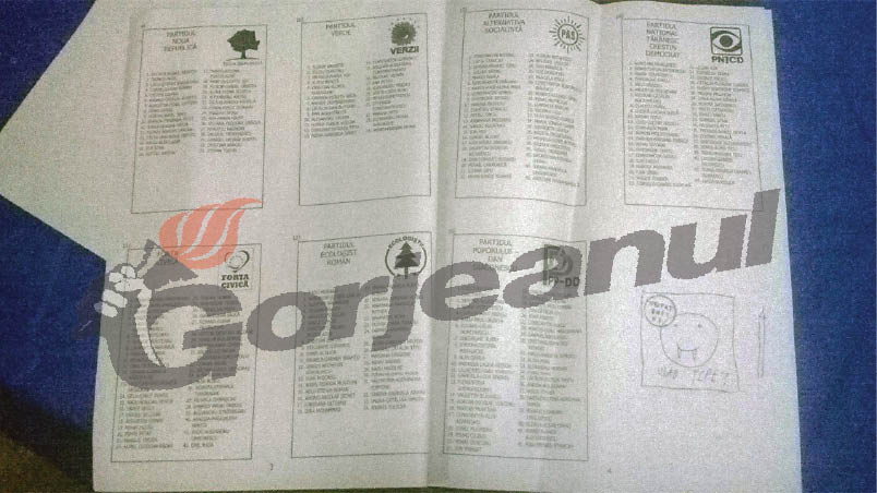 Vlad Ţepeş, votat europarlamentar la Târgu-Jiu