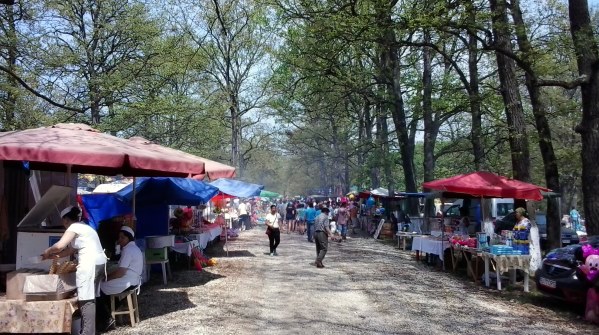 Curățenie la Drăgoieni după grătarele de 1 Mai