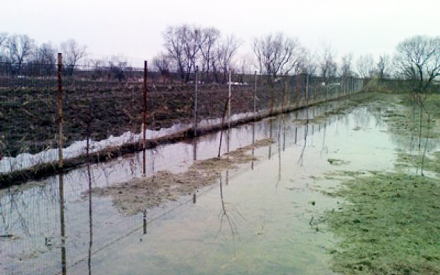 Inundații și stâlpi rupți la final de cod galben