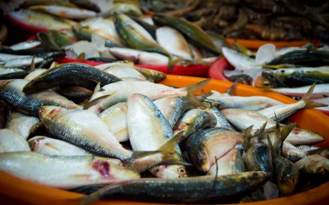 Festivalul Naţional al Peştelui debutează la Târgu-Jiu