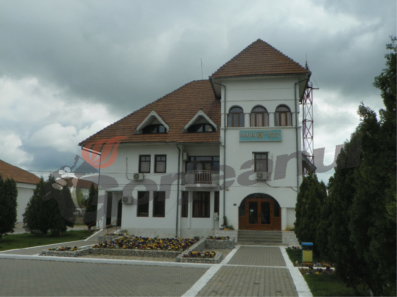 Turceni: Consilier local sancționat