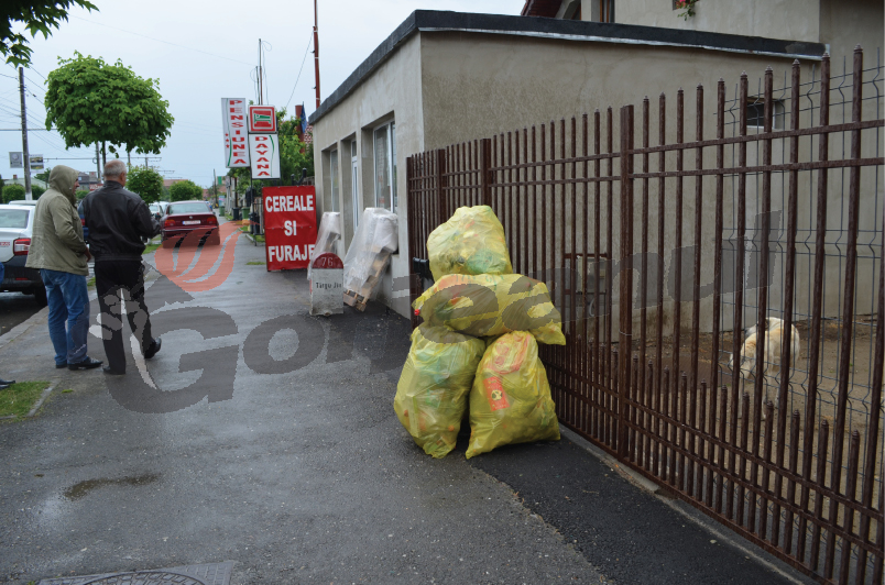 Municipiul Târgu-Jiu poate fi „Oraşul reciclării 2014”