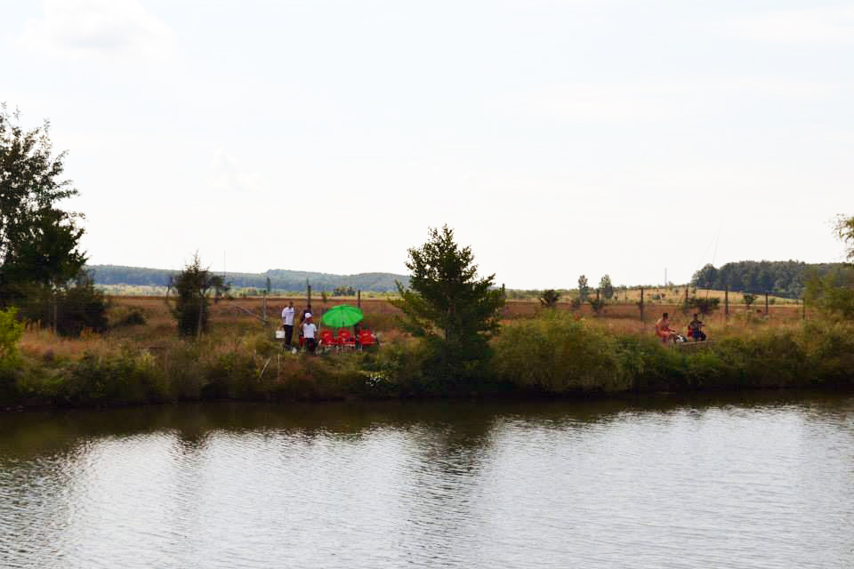 TSD a întins firul la Leleşti