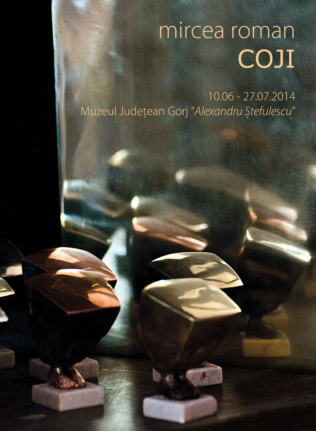 Mircea Roman expune la Târgu-Jiu