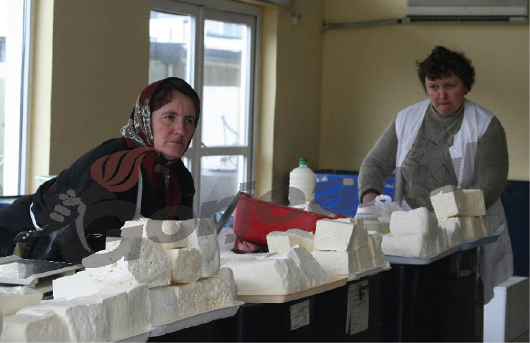 Laptele crud, ouăle şi ciupercile de pe piaţă în atenţia inspectorilor DSVSA Gorj