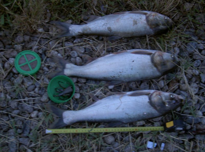 Prins la pescuit cu unelte ilegale