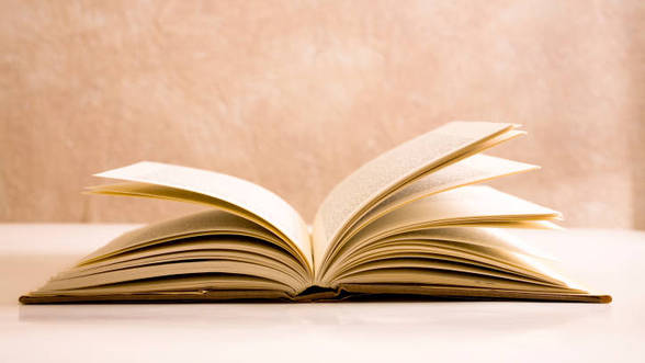 Accente polikratice – A PROSTI, PROST, PROSTIE…