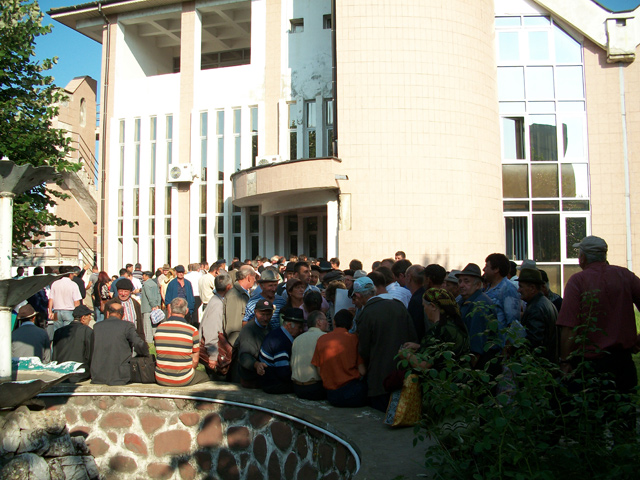 Vineri, ultima zi de depunere a cererilor în sectorul zootehnic