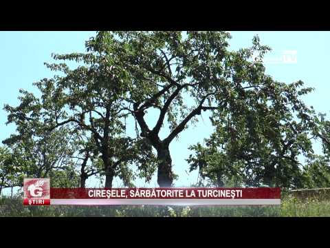 CIREŞELE, SĂRBĂTORITE LA TURCINEŞTI