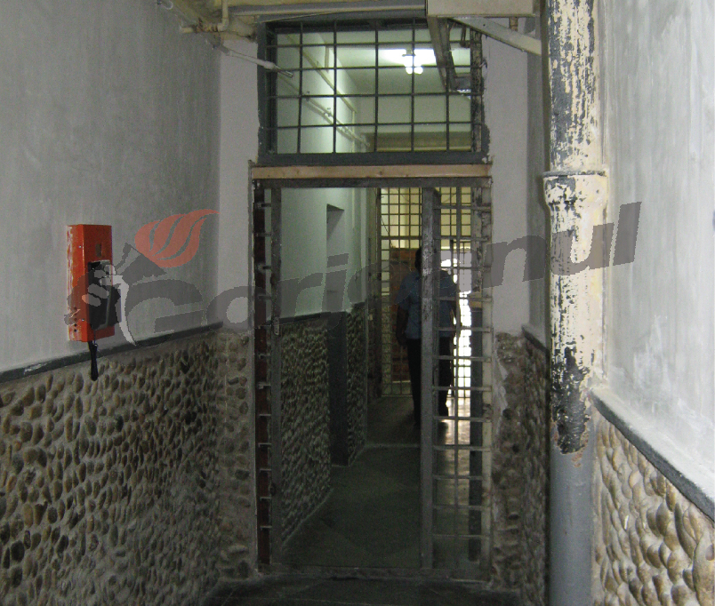 Nepotul lui Cucăilă a ajuns după gratii