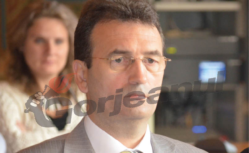 “Vicele” Pungan, la cârma a două firme cu profit redus