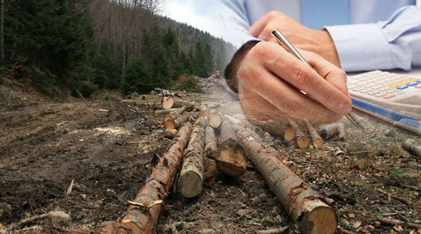 Patroni cercetaţi pentru evaziune cu cărbune şi lemne