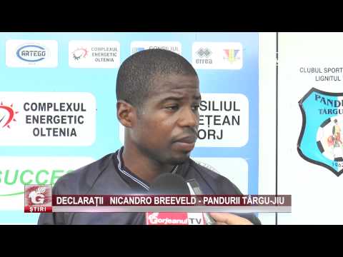 DECLARAȚII NICANDRO BREEVELD – PANDURII TÂRGU-JIU