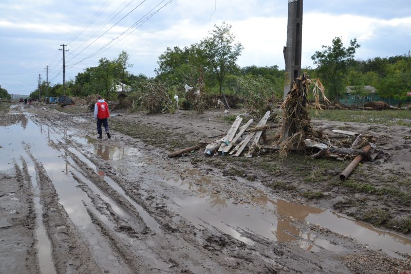 Peste 200 de hectare de culturi, distruse de ploi în Gorj