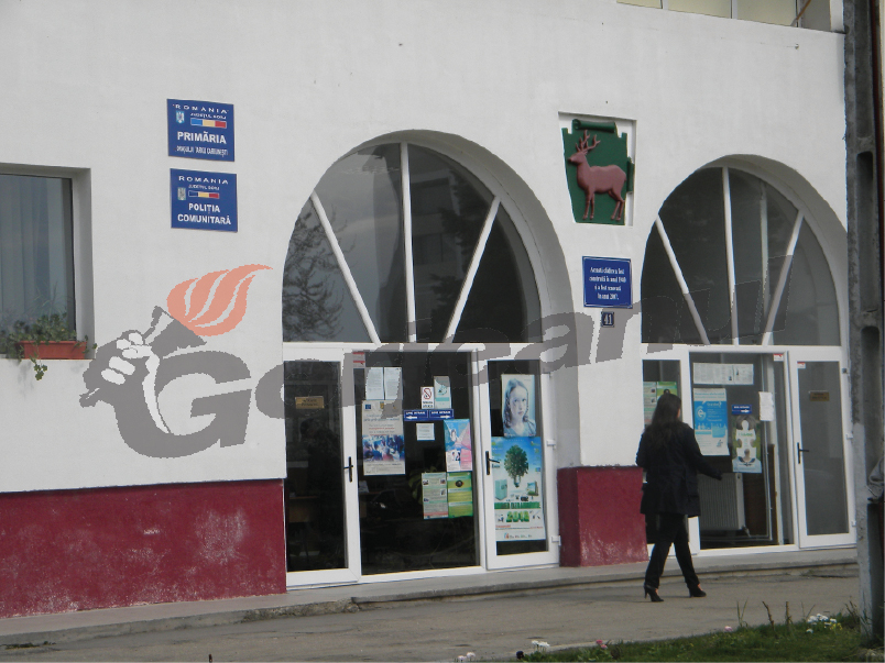 Nouă posturi vacante la primăriile din Gorj