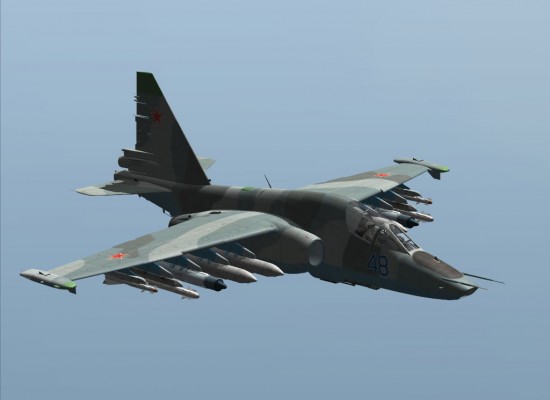 Kievul acuză aviaţia rusă că a doborât un avion de luptă în spaţiul aerian al Ucrainei