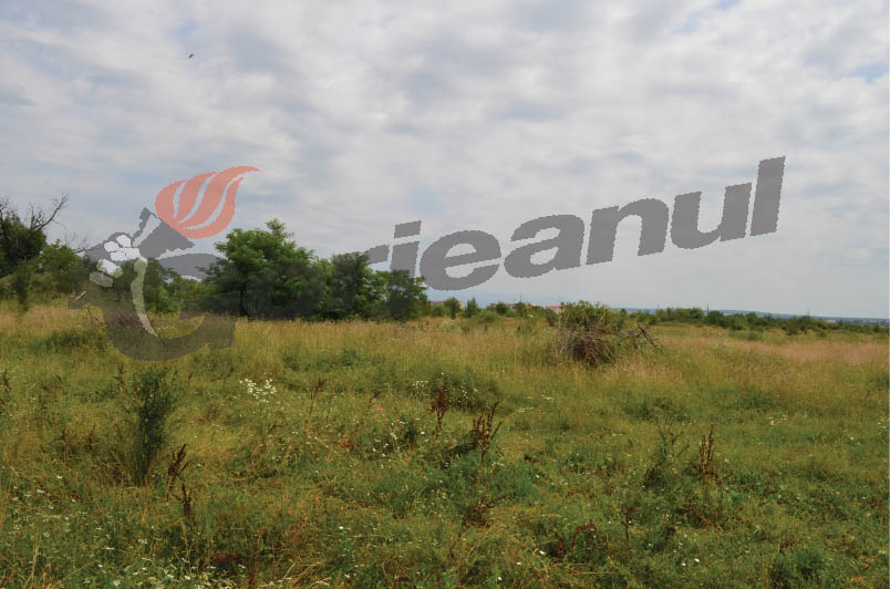 Primăria Târgu-Jiu aşteaptă o nouă Hotărâre de Guvern pentru transferarea terenului Garnizoanei