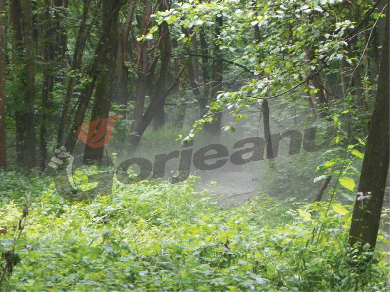 În căutarea „apei vii” la Izvarna