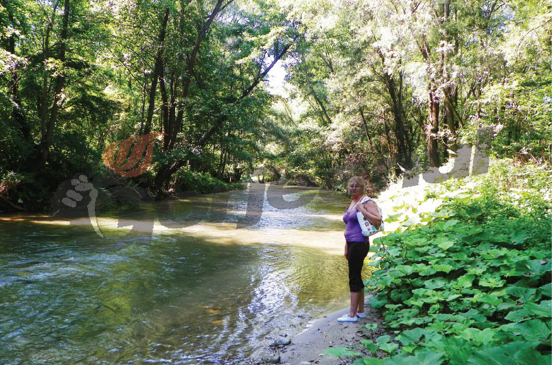 Ecojurnal – “Colo-n vale la Stroieşti”