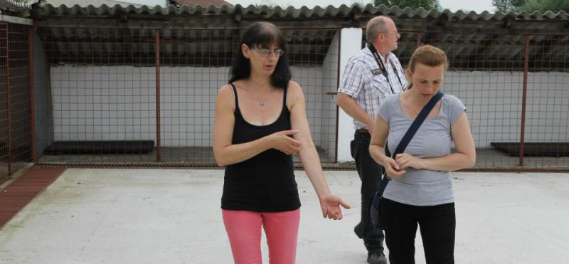 Nemţii găsesc soluţii pentru câinii comunitari din Rovinari