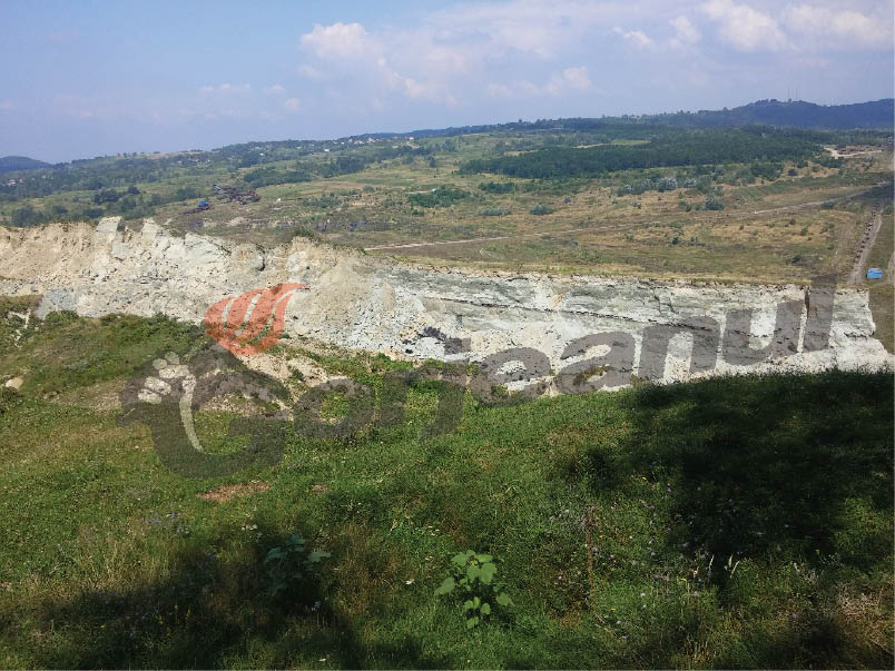 O echipă a ITRSV Vâlcea verifică alunecarea pădurii din Roşia de Amaradia