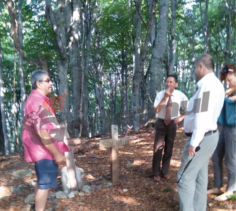 Pădurea de la Stănești, plină de rămășițe umane!