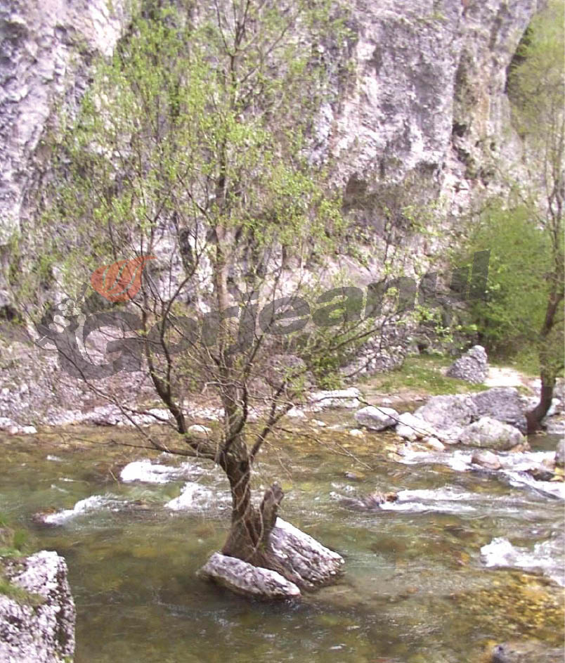 Lumea de piatră a Sohodolului