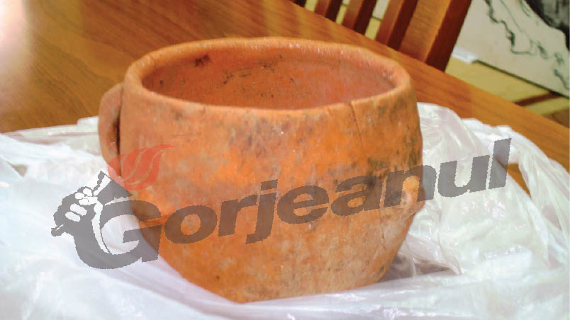 Descoperiri arheologice importante la Stoina