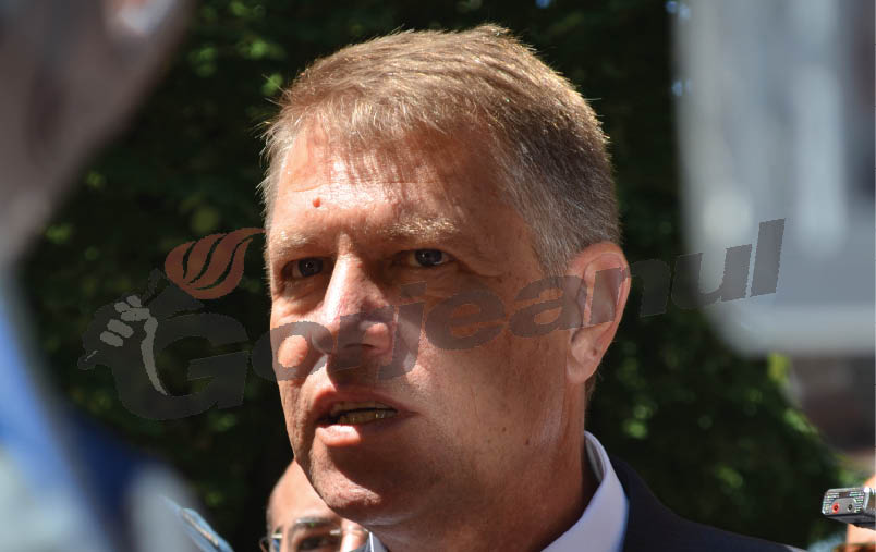 Iohannis a împărţit conserve electorale la Novaci