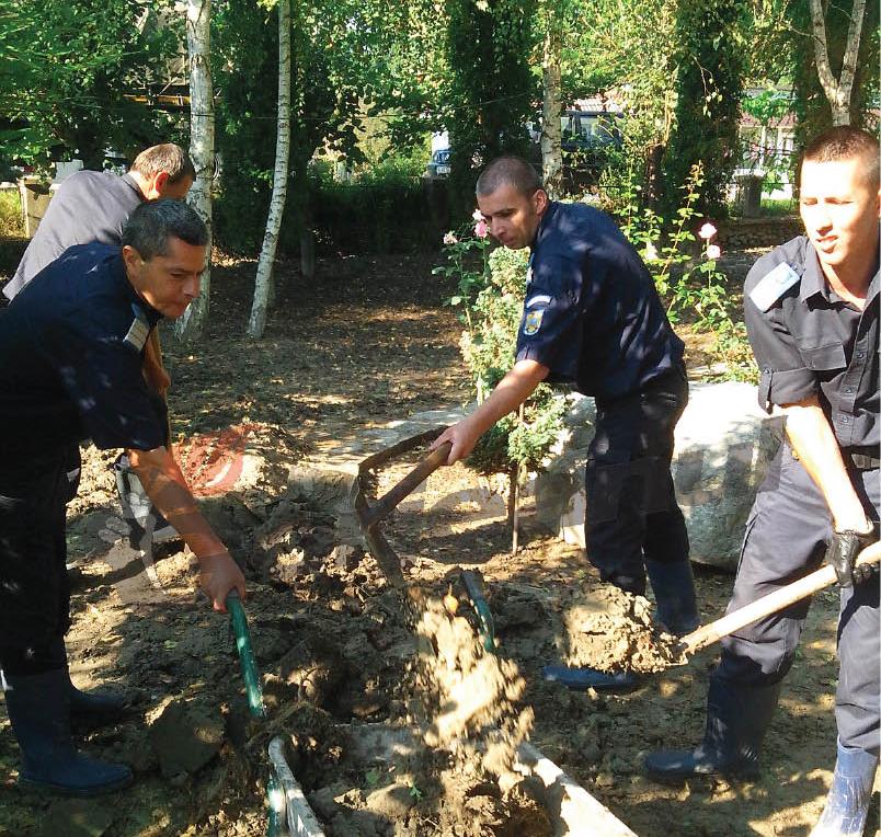 Jandarmii, în misiune de sprijin la Pociovaliştea