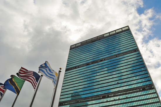 Se caută următorii Delegaţi de Tineret ai României la ONU