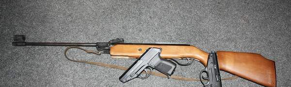 Arme confiscate de poliţiştii din Ţicleni