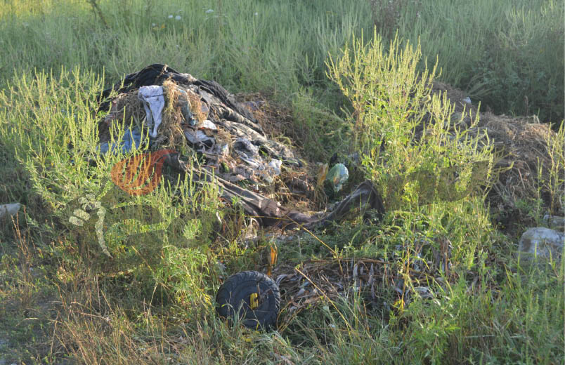 Maldăre de gunoaie şi zeci de câini urează ,,bun venit” pe străzile Săvineşti şi Mărgăritarului