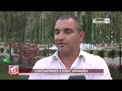 CONSTANTINIDES A SUNAT ADUNAREA