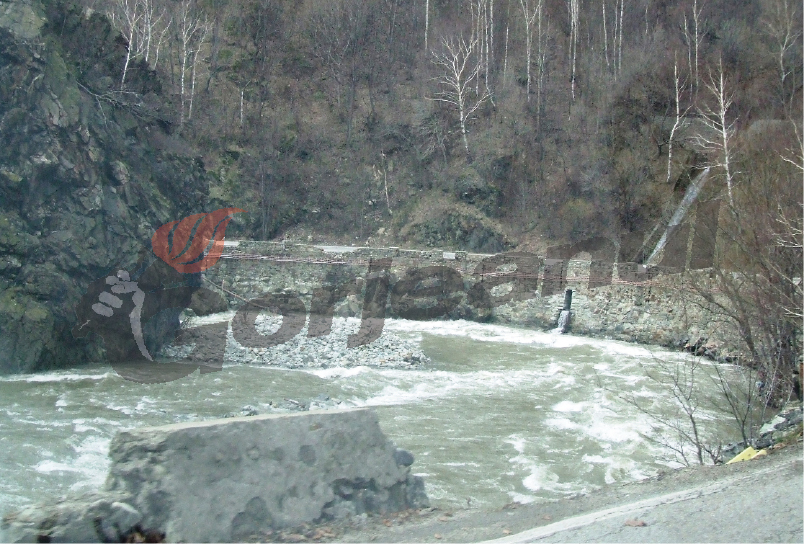 Cod Galben pe râurile din Gorj