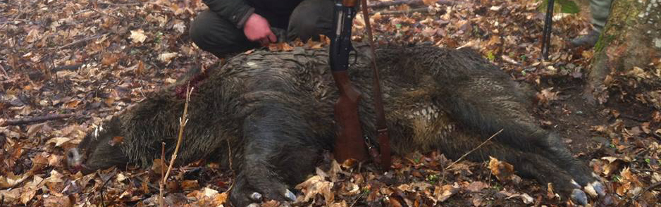 Septuagenar reţinut pentru braconaj