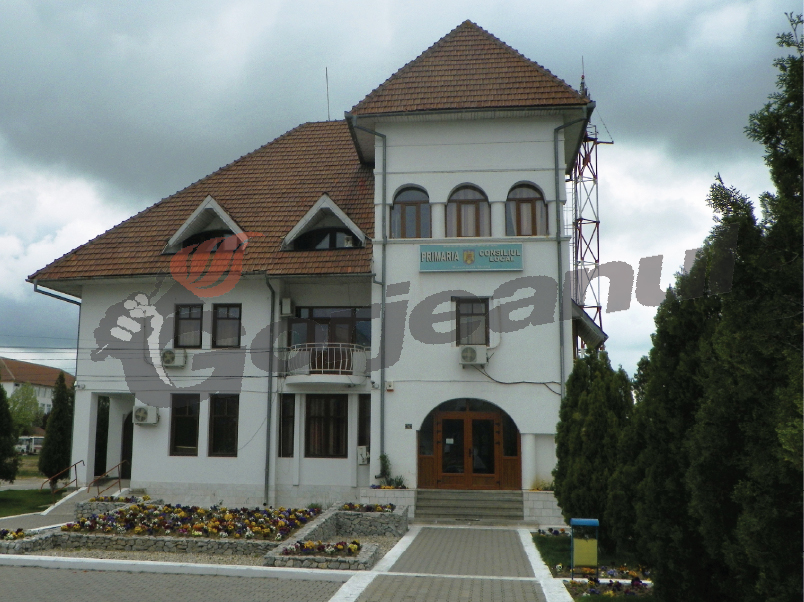 O primărie din Gorj caută asistent social