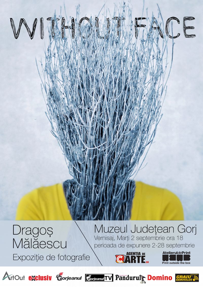 Dragoş Mălăescu expune la Târgu-Jiu